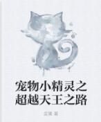 寵物小精靈之超越天王之路 寵物小精靈之超越天王之路