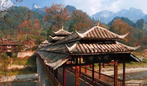 橋樑村古楓寨 橋樑村古楓寨