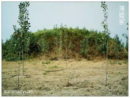 郟縣薄姬冢 郟縣薄姬冢