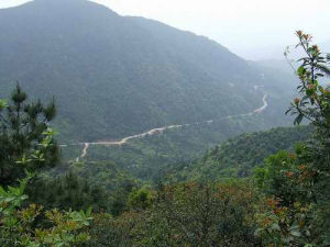 贛州十八縣市 贛州十八縣市