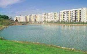 Free閣調 Free閣調