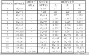 中德安聯超級隨心兩全保險