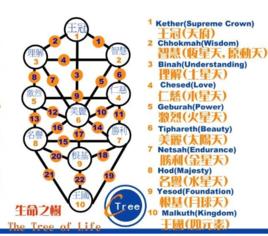 第二生命形態 第二生命形態