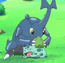 赫拉克羅斯與妙蛙種子