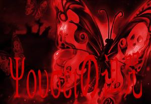 唯美而生 唯美而生