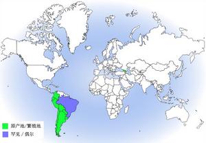 紅背鵟雕分布圖