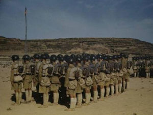 國軍抗戰全紀實