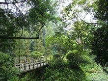 流連忘返的地方啊