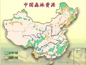 森林資源分布圖