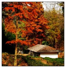 素山寺國家森林公園