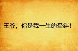 王爺,你是我一生的牽絆! 王爺,你是我一生的牽絆!