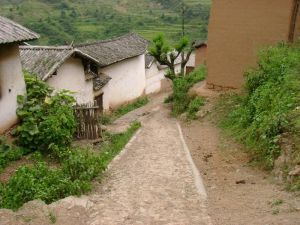 藤子坡自然村 藤子坡自然村