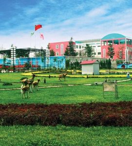 三興康樂村 三興康樂村