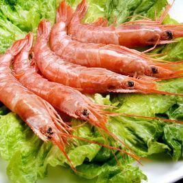 阿根廷紅蝦 阿根廷紅蝦