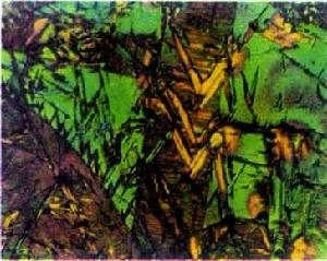 光學金相顯微術