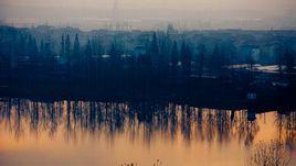 東洲島[浙江省杭州市東洲島]