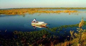 三峽濕地[湖北宜都市景區]