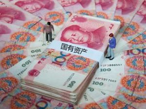 經營性國有資產 經營性國有資產