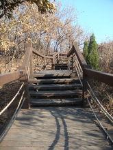 與大自然零距離