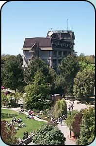 惠靈頓大學 惠靈頓大學