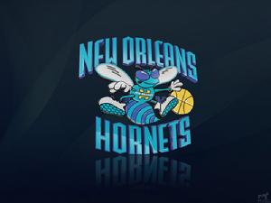 （圖）紐奧良黃蜂