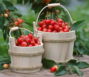 農墾萬嘉果農莊 農墾萬嘉果農莊