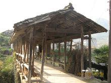 梁村[麗水市蓮都區老竹鎮梁村]