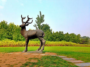 南海子麋鹿苑 南海子麋鹿苑
