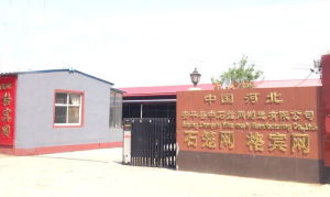 安平縣中石絲網製造有限公司 安平縣中石絲網製造有限公司