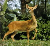 大田國家自然保護區