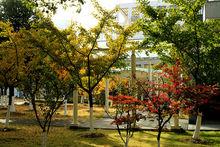 西安交通大學蘇州附屬中學