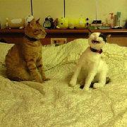 笑點有點低 笑點有點低