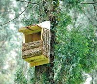 人工鳥巢 人工鳥巢