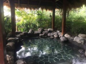 綿竹麓棠溫泉 綿竹麓棠溫泉