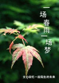 一場春雨一場夢 一場春雨一場夢