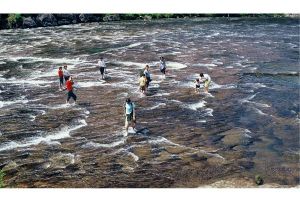 屏南雙溪白水洋 屏南雙溪白水洋