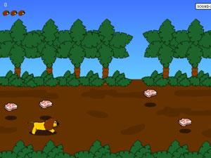 叢林穿越 叢林穿越