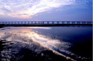 子牙新河 子牙新河