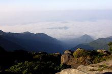 德化[福建省德化縣]