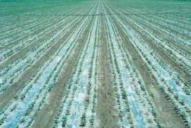 滴灌系統 滴灌系統