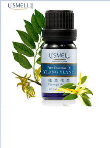 依蘭精油 依蘭精油