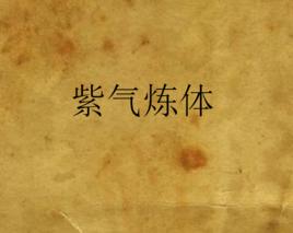 紫氣煉體 紫氣煉體