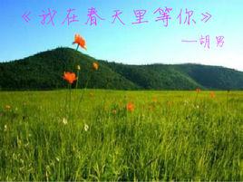 我在春天等你[胡男的詩]