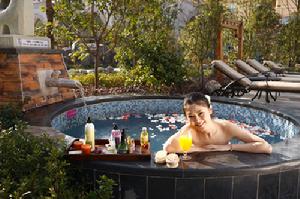 沁溫泉之十二生肖泉