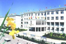 陝西洛川中學 陝西洛川中學