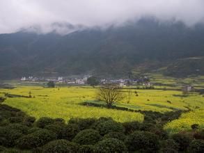 碓窩灣村 碓窩灣村