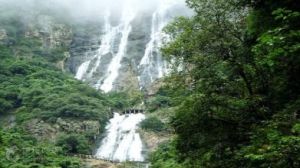 百花崖影 百花崖影