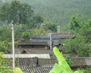 罵過自然村 罵過自然村