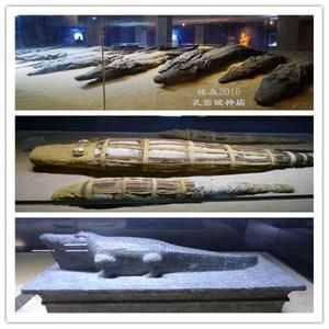 鱷魚木乃伊 鱷魚木乃伊