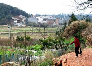 湖南省祁陽縣鳳凰鄉